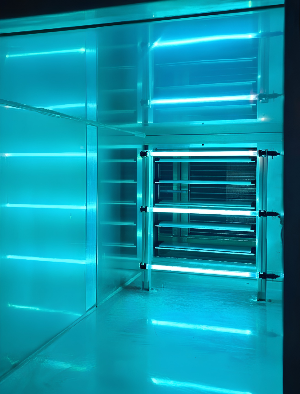  | Professional Solutions for UV-C disinfection Light Progress 